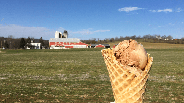 Fox Meadow Creamery view with icecream cone