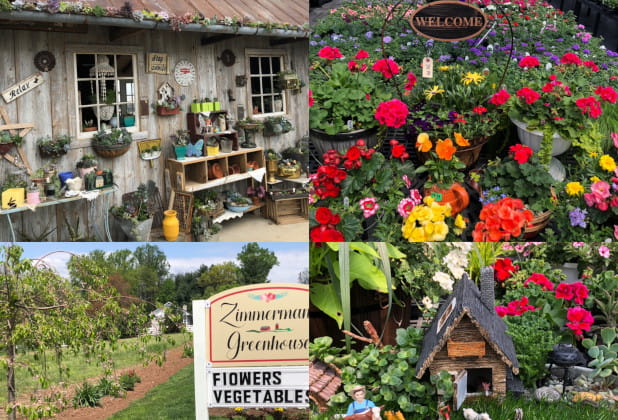 Touring Lancaster’s Best Greenhouses 2019